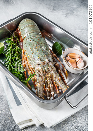 Fresh Raw Spiny lobster or sea crayfish ready for cooking. White background. Top view 101072163
