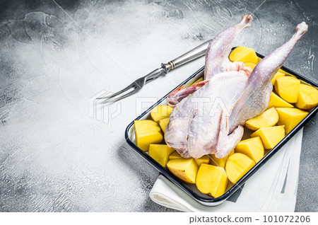 Cooking of Raw guinea fowl with potato in baking dish. White background. Top view. Copy space 101072206