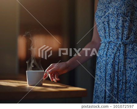 Tiny houses and Small Living concept Tiny houses and Small Living concept 101072597