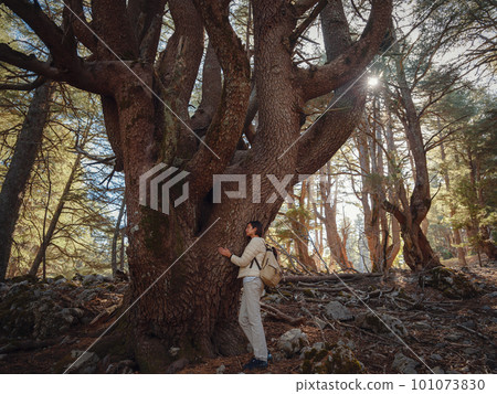 woman enjoys nature, beautiful forest in mountains woman enjoys nature, beautiful forest in mountains 101073830