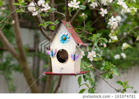 little bird house in spring over blossoming apple tree 101074781