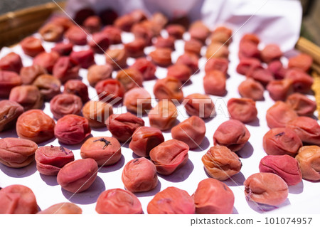 Hand-made Umeboshi 101074957