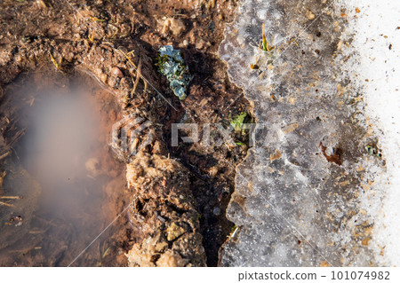 Melting snow and puddles. Sunny weather and spring Melting snow and puddles. Sunny weather and spring 101074982