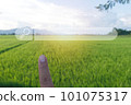 Finger pointing to the search box bar with a backdrop of nature, sky, fields, mountains, conveying the freedom to search for information anywhere, anytime 101075317