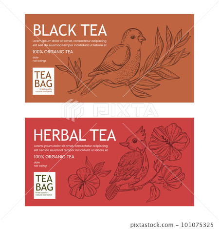 BLACK AND HERBAL TEA In Vintage Style Contemporary Design Of Packaging With Birds On Branch And Blossom Flowers Printable Vector For Modern Typography 101075325