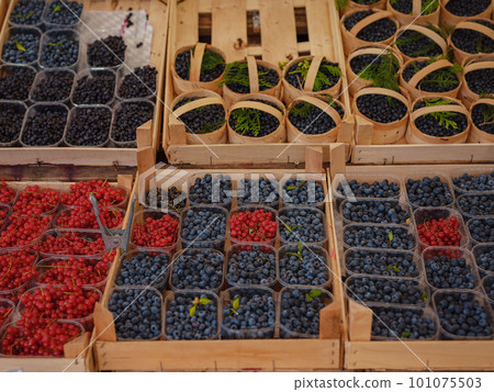 shop selling berries and fruits in the center city. 101075503