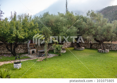 Greek traditional yard with olive trees and grill Greek traditional yard with olive trees and grill 101075805