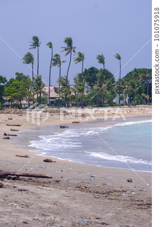 巴厘島庫塔海灘 海浪拍打著沙灘和棕櫚樹(巴厘島庫塔海灘),攝於 2023 年 巴厘島庫塔海灘 海浪拍打著沙灘和棕櫚樹(巴厘島庫塔海灘),攝於 2023 年 101075918