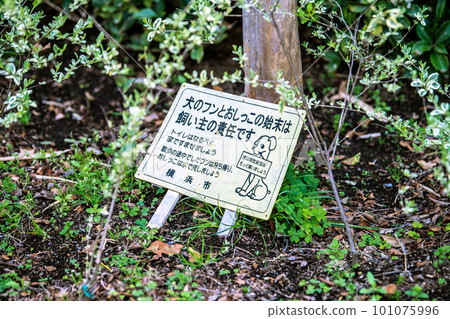 The cityscape of Yokohama in Japan, pet walking etiquette... ``It's the owner's responsibility to dispose of the dog's poop and pee'' = Yokohama city 101075996