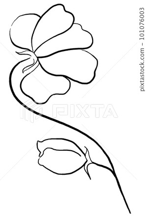 Hand drawn black outline wildflower, isolated illustration element 101076003