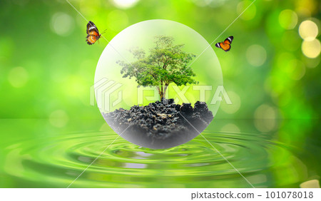 Concept Save the world save environment The world is in the grass of the green bokeh background 101078018