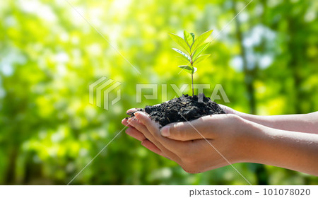 Concept Save the world save environment The world is in the grass of the green bokeh background Concept Save the world save environment The world is in the grass of the green bokeh background 101078020