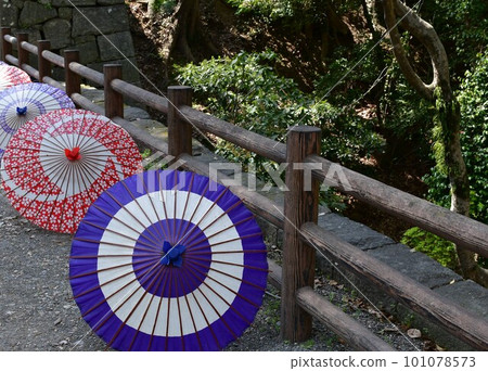 岡崎城，日本的雨傘，德川家康的出生地，賞櫻勝地 101078573