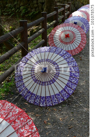 岡崎城，日本的雨傘，德川家康的出生地，賞櫻勝地 101078575