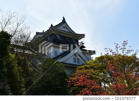 岡崎城天守，德川家康的故鄉，賞櫻勝地 101078577