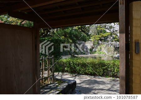 Okazaki Castle, the birthplace of Ieyasu Tokugawa, a cherry-blossom viewing spot Okazaki Castle, the birthplace of Ieyasu Tokugawa, a cherry-blossom viewing spot 101078587