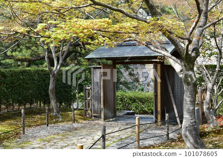 德川家康的出生地岡崎城，賞櫻勝地 101078605