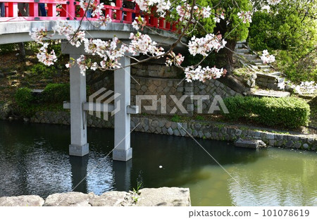岡崎城、神京、櫻花、德川家康的故鄉、賞櫻勝地 岡崎城、神京、櫻花、德川家康的故鄉、賞櫻勝地 101078619