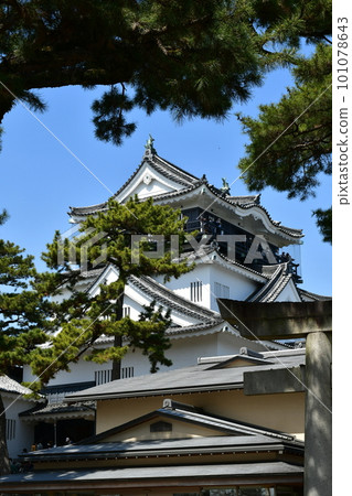 Okazaki Castle Tenshu, the birthplace of Ieyasu Tokugawa, a cherry-blossom viewing spot Okazaki Castle Tenshu, the birthplace of Ieyasu Tokugawa, a cherry-blossom viewing spot 101078643