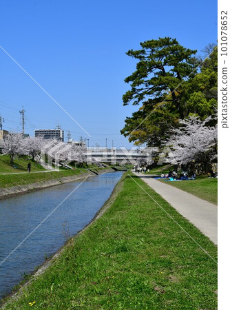 德川家康的出生地岡崎城，賞櫻勝地 101078652