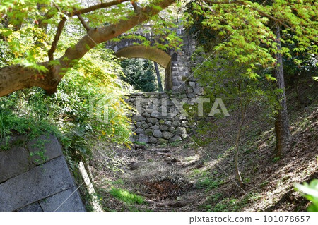 Okazaki Castle, the birthplace of Ieyasu Tokugawa, a cherry-blossom viewing spot Okazaki Castle, the birthplace of Ieyasu Tokugawa, a cherry-blossom viewing spot 101078657