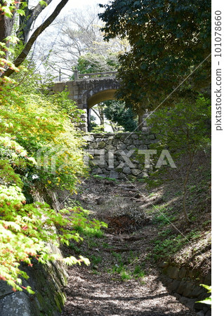 德川家康的出生地岡崎城,賞櫻勝地 德川家康的出生地岡崎城,賞櫻勝地 101078660