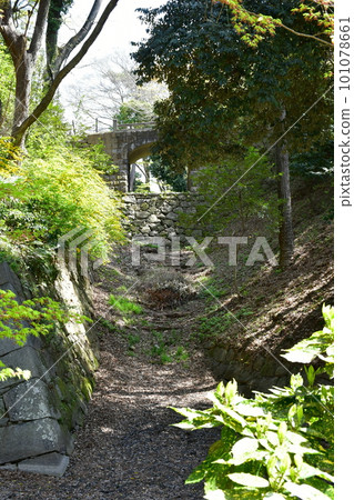 德川家康的出生地岡崎城,賞櫻勝地 德川家康的出生地岡崎城,賞櫻勝地 101078661