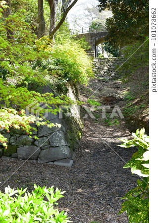 德川家康的出生地岡崎城,賞櫻勝地 德川家康的出生地岡崎城,賞櫻勝地 101078662