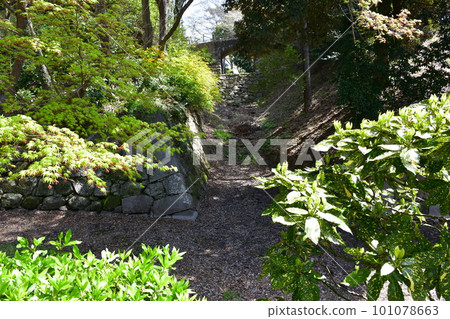 Okazaki Castle, the birthplace of Ieyasu Tokugawa, a cherry-blossom viewing spot 101078663