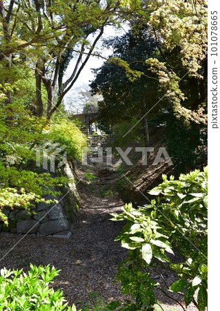 德川家康的出生地岡崎城,賞櫻勝地 德川家康的出生地岡崎城,賞櫻勝地 101078665