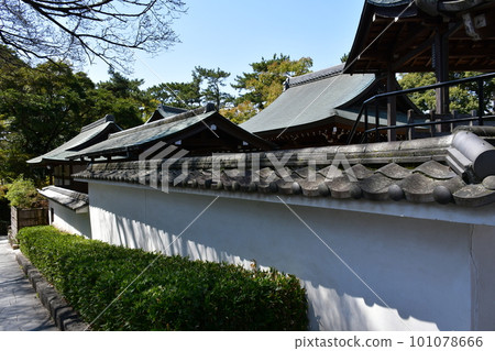 岡崎城、二之丸能樂堂、德川家康的出生地、賞櫻勝地 岡崎城、二之丸能樂堂、德川家康的出生地、賞櫻勝地 101078666