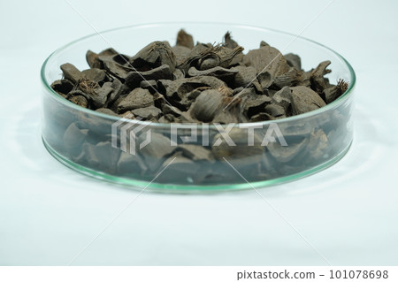 生物質燃料（椰殼/PKS） 101078698