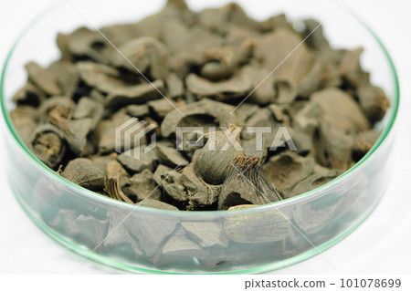 Biomass fuel (coconut shell/PKS) Biomass fuel (coconut shell/PKS) 101078699