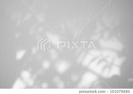 Leaves shadow on concrete wall background Leaves shadow on concrete wall background 101078880