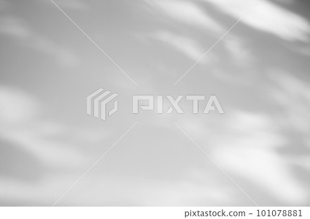 Leaves shadow on concrete wall background Leaves shadow on concrete wall background 101078881