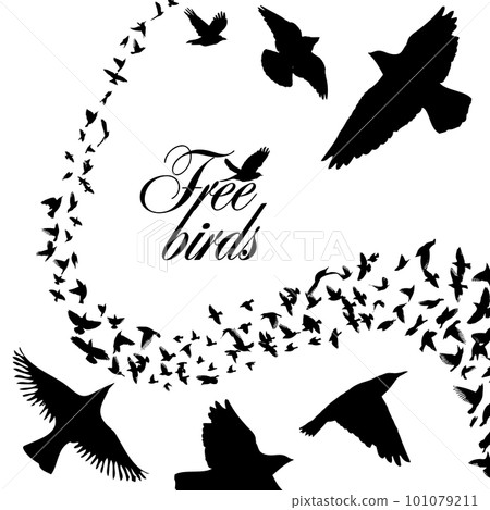 A flock of flying birds. Free birds. Vector illustration 101079211