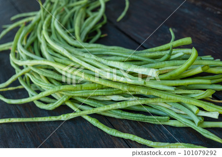 Asparagus Asparagus 101079292