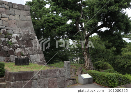 小田原城 小田原城 101080235