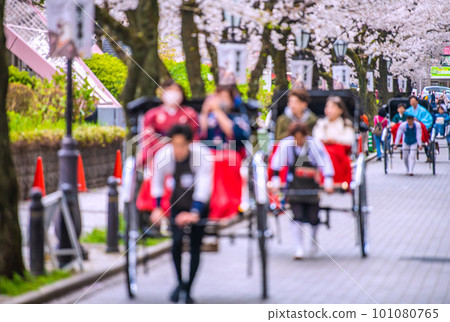 Cityscape of Tokyo, Japan View of Sumida Park, Sukeroku Street, etc., crowded with tourists such as rickshaws = March 29 101080765