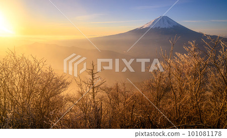 (山梨縣)從大嶽山看到的富士山,日出 (山梨縣)從大嶽山看到的富士山,日出 101081178