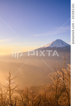 （山梨縣）從大嶽山看到的富士山，日出 101081181