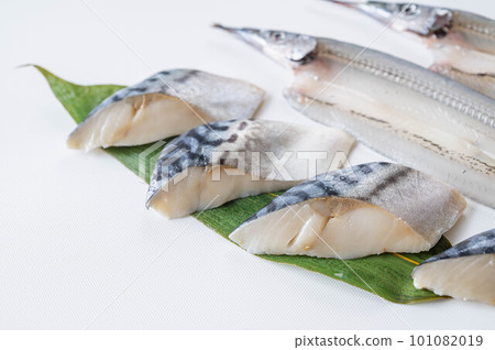 鯖魚片和半喙 鯖魚片和半喙 101082019