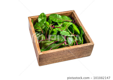 Raw Fresh green chard mangold leaves in a wooden box. Isolated on white background. 101082147
