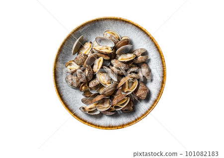 Steamed cooked shells Clams vongole in a plate with herbs. Isolated on white background. Steamed cooked shells Clams vongole in a plate with herbs. Isolated on white background. 101082183
