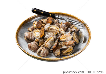 Steamed cooked shells Clams vongole in a plate with herbs. Isolated on white background. Steamed cooked shells Clams vongole in a plate with herbs. Isolated on white background. 101082296