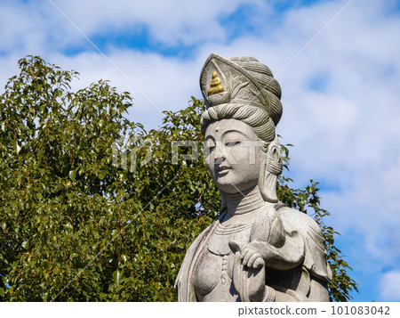 Fuse Kannon Statue at Fuse Benten Tokaiji Temple, Kashiwa City, Chiba Prefecture Fuse Kannon Statue at Fuse Benten Tokaiji Temple, Kashiwa City, Chiba Prefecture 101083042