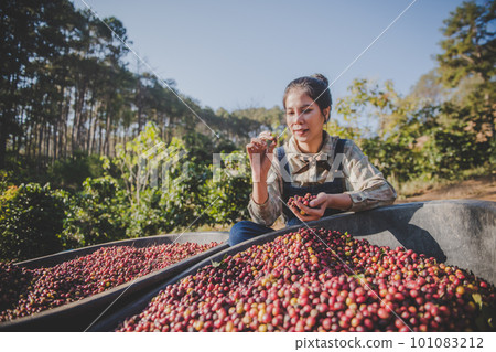 young man gardener with smartphone in the garden young man gardener with smartphone in the garden 101083212