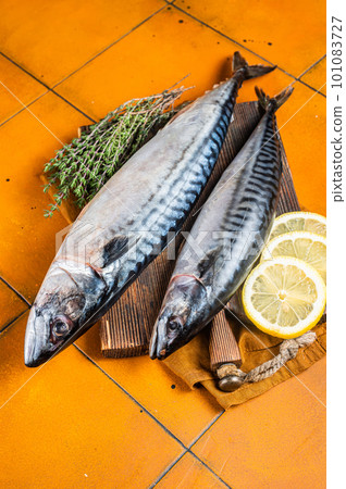 Raw mackerel fish, Scombrus with herbs and spices on wooden board. Orange background. Top view Raw mackerel fish, Scombrus with herbs and spices on wooden board. Orange background. Top view 101083727