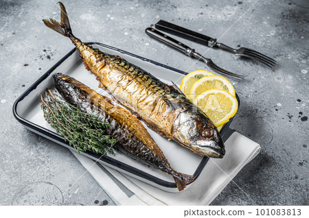 Roasted Mackerel Scomber fish in baking dish. Gray background. Top view Roasted Mackerel Scomber fish in baking dish. Gray background. Top view 101083813