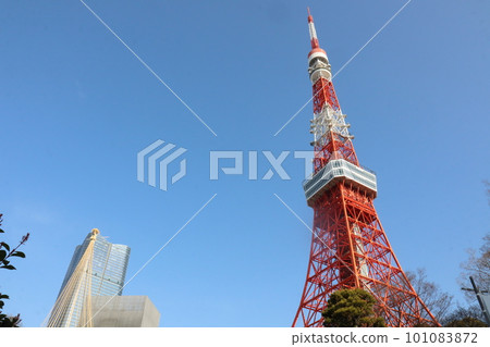 從芝公園拍攝的東京鐵塔 101083872